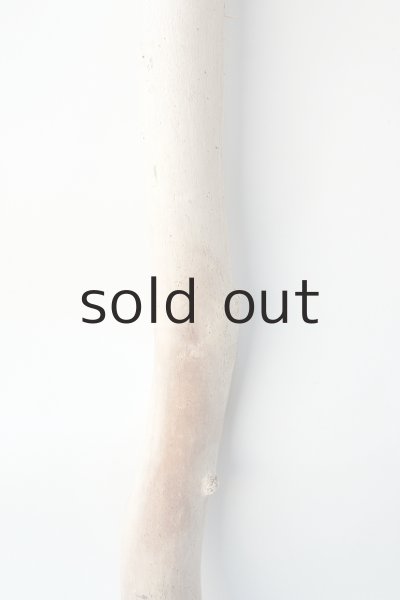 画像3: 幹流木 (3)