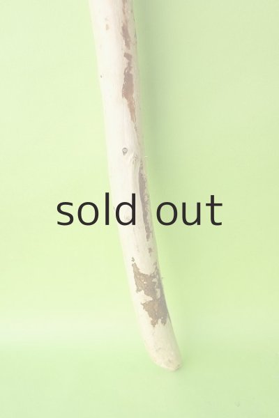 画像2: 棒流木 (2)