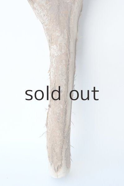 画像2: 枝流木 (2)