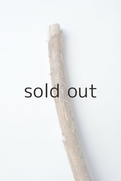 画像4: 枝流木 (4)