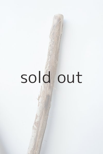 画像3: 枝流木 (3)