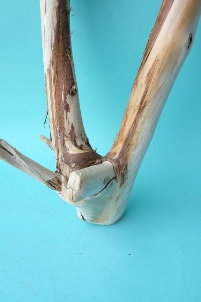 画像2: 小枝流木 (2)