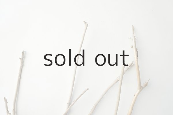 画像4: 小枝流木セット (4)