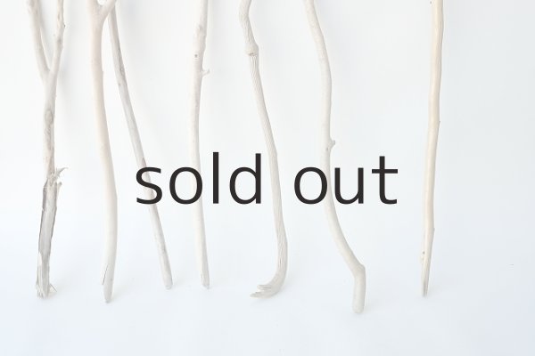 画像2: 小枝流木セット (2)