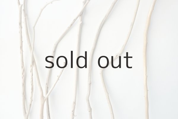 画像3: 小枝流木セット (3)