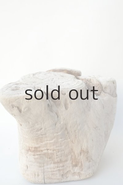 画像3: 板流木・切り株 (3)