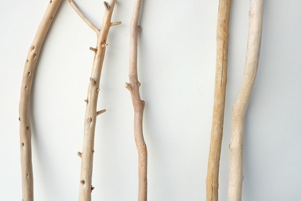 画像3: 小枝流木セット (3)