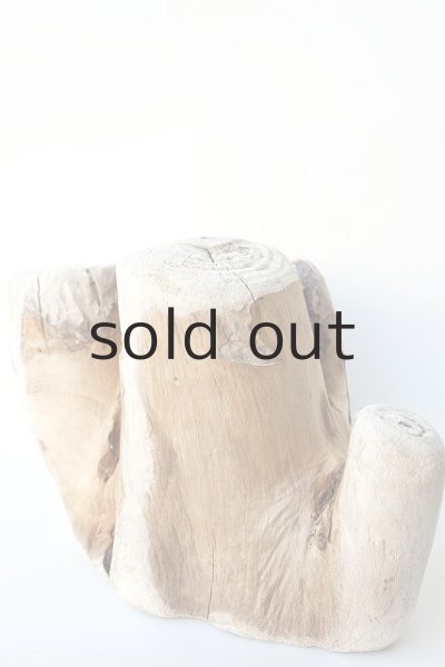 画像2: 板流木・切り株 (2)