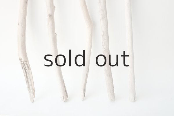 画像2: 小枝流木セット (2)