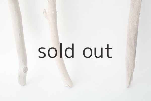 画像2: 小枝流木セット (2)