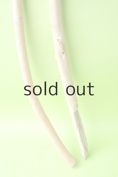 画像2: 棒流木セット (2)