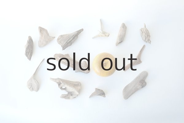 画像1: 変形流木セット (1)