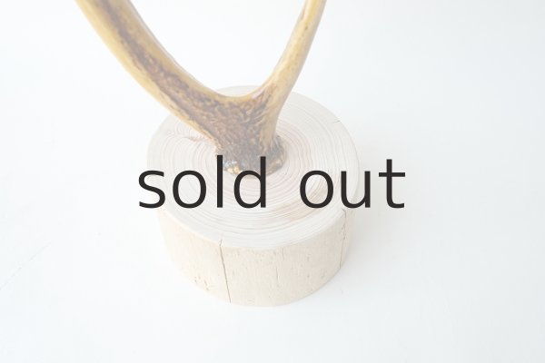 画像3: 小物掛け  by GRAY and GREEN (3)