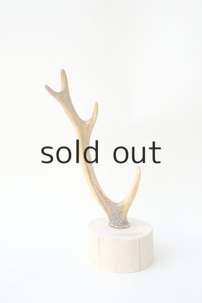 画像2: 小物掛け  by GRAY and GREEN (2)