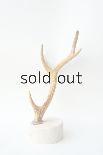 画像2: 小物掛け  by GRAY and GREEN (2)