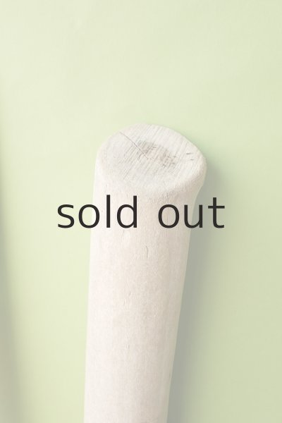 画像3: 幹流木 (3)