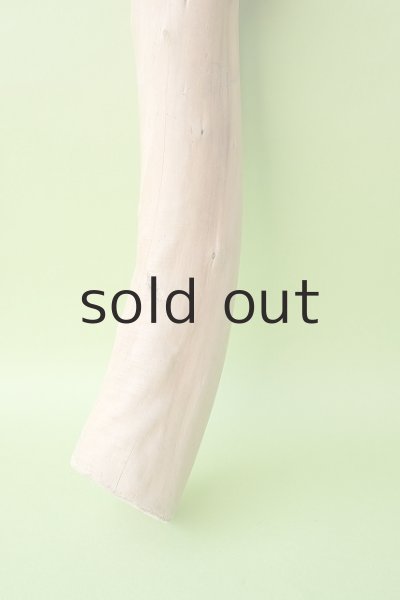 画像2: 幹流木 (2)