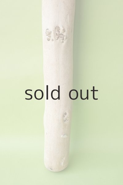 画像2: 幹流木 (2)