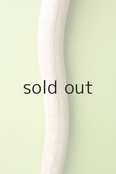 画像3: 幹流木 (3)