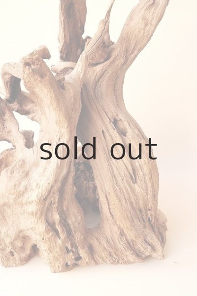 画像4: その他（中型） (4)