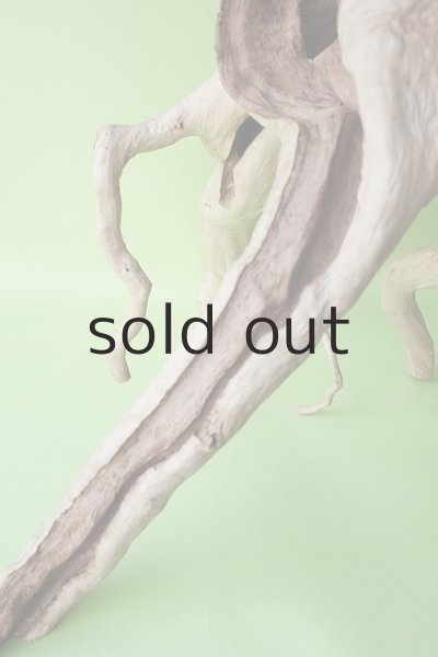 画像2: その他（中型） (2)