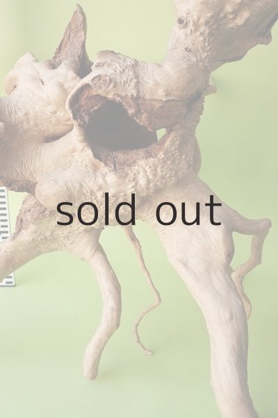 画像4: その他（中型） (4)