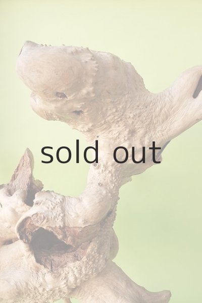 画像5: その他（中型） (5)