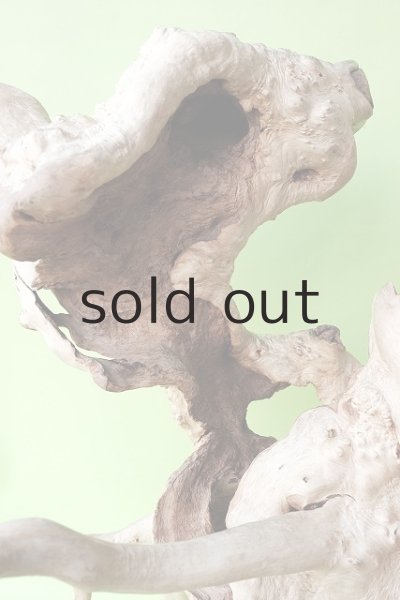 画像3: その他（中型） (3)