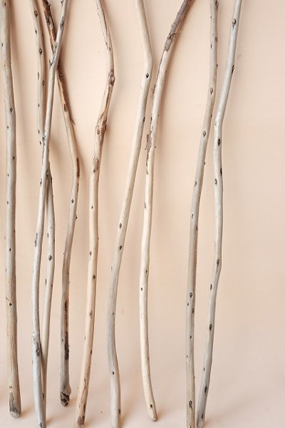 画像3: 棒流木セット (3)