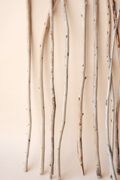 画像2: 棒流木セット (2)