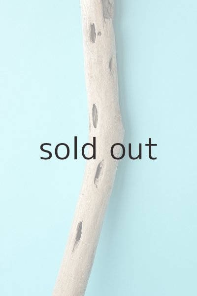 画像3: 枝流木 (3)