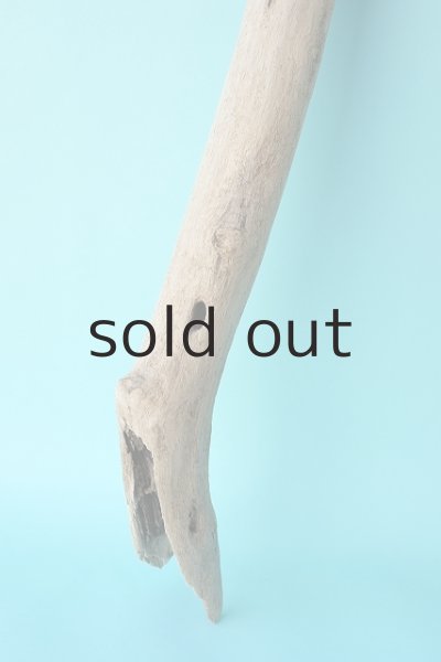 画像2: 枝流木 (2)