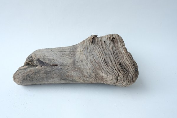 画像3: 変形流木 (3)