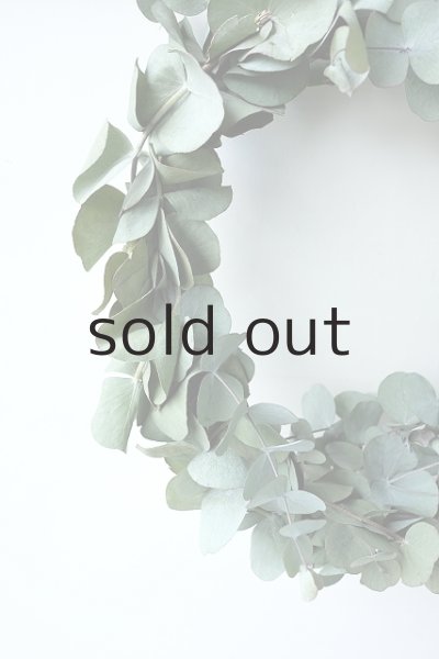 画像2: Dry plants for decor ユーカリリース(銀丸葉+テトラゴナシルバー) (2)