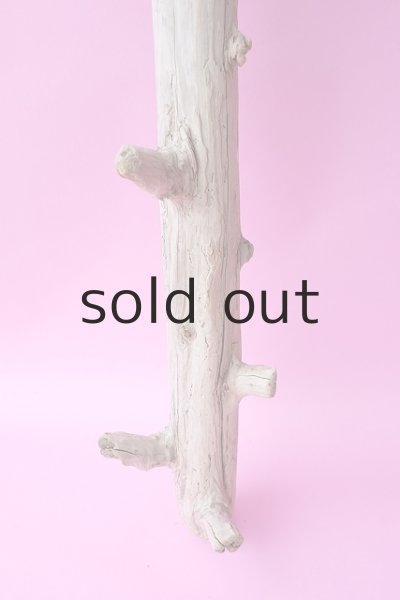 画像2: 幹流木 (2)