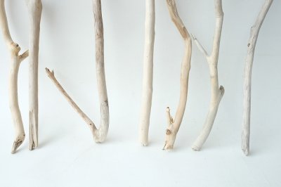 画像1: 小枝流木セット