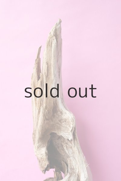 画像4: 大型　変形 (4)