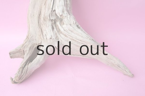 画像2: 大型　変形 (2)