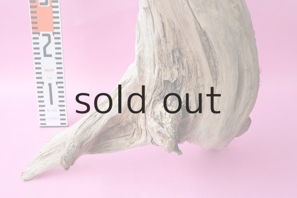 画像5: 大型　変形 (5)