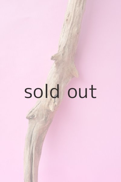 画像3: 枝流木 (3)