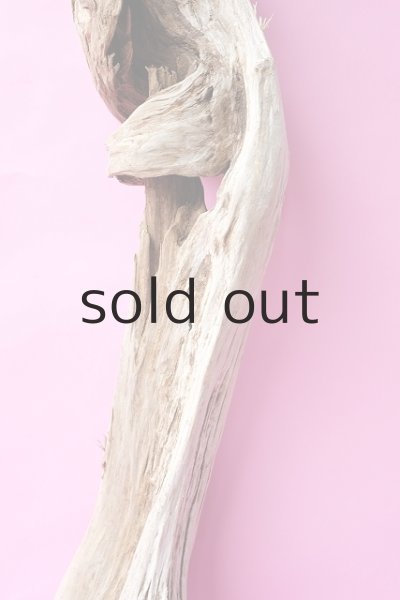 画像3: 大型　変形 (3)