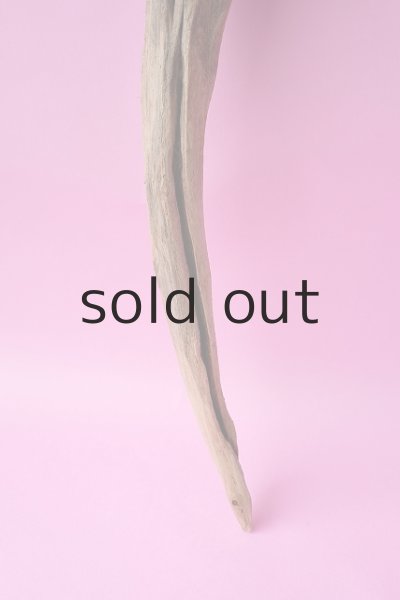 画像2: 枝流木 (2)