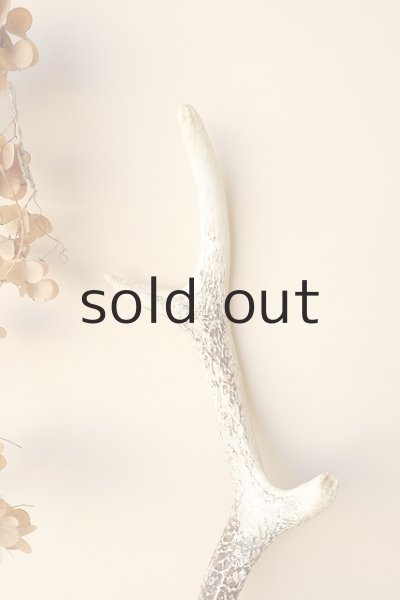 画像3: デコール用二ホンジカの角 (3)