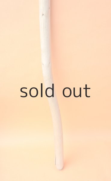 画像2: 棒流木・長尺 (2)