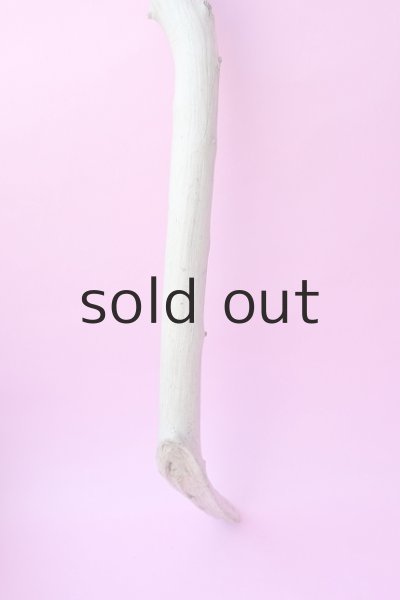 画像2: 枝流木 (2)