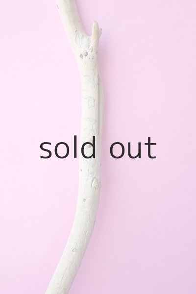 画像3: 幹流木 (3)