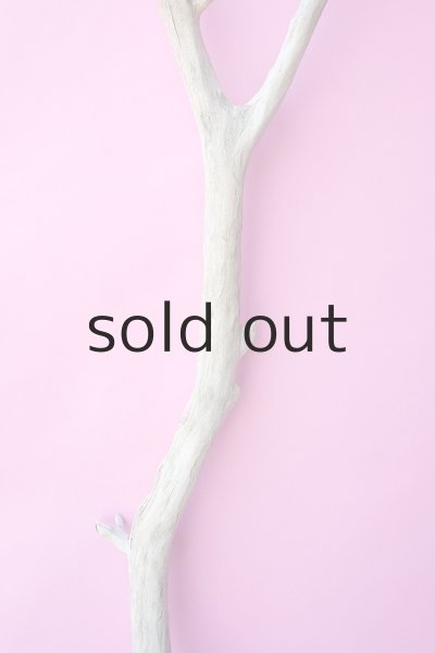 画像3: 幹流木 (3)