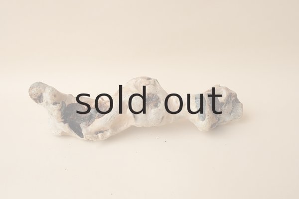 画像2: ミニ流木根 (2)