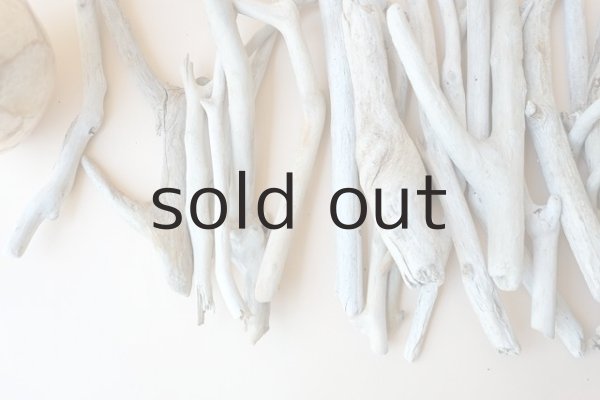 画像3: 小枝流木セット (3)