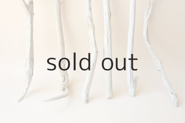 画像2: 小枝流木セット (2)